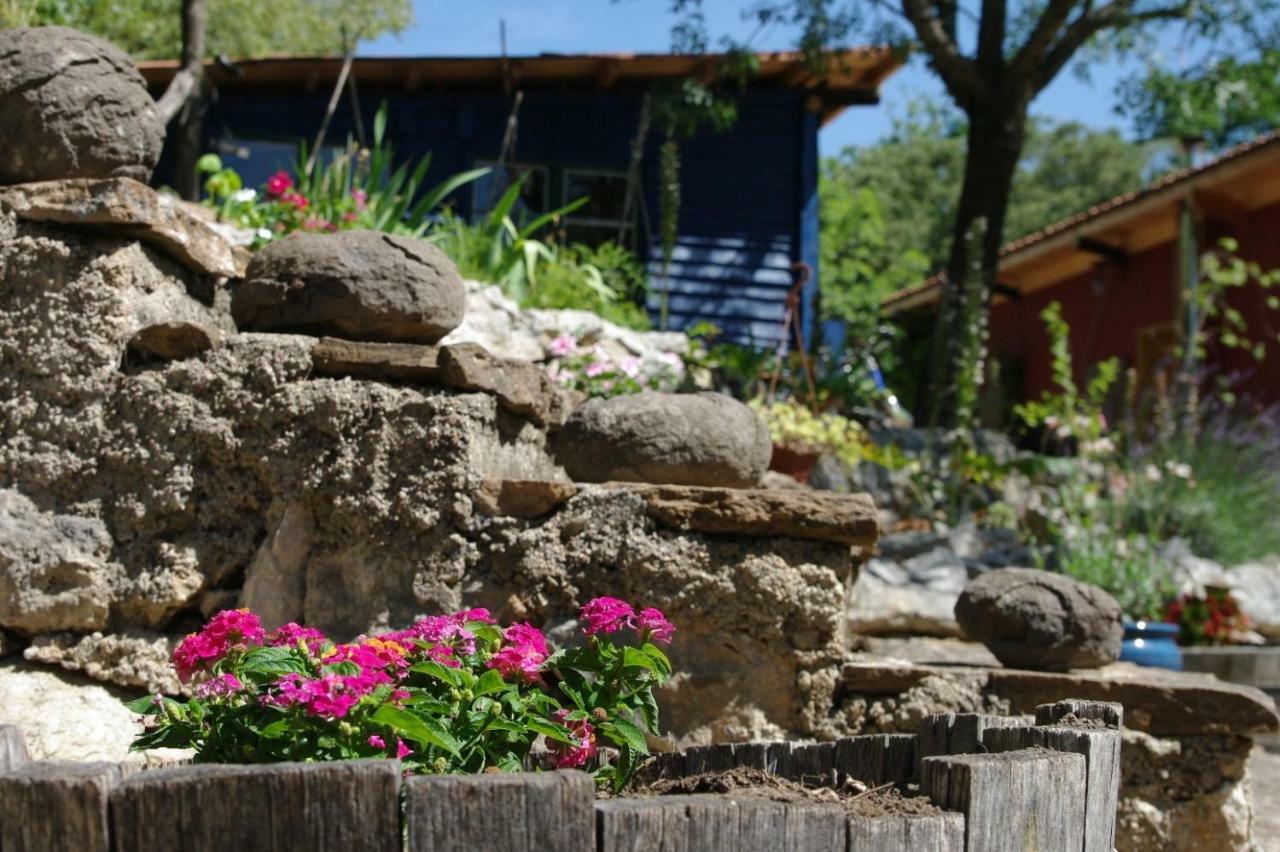 Mas De Font Chaude Bed & Breakfast Clermont-lʼHérault Dış mekan fotoğraf